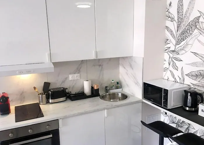 Beachfront On Promenade Des דירה ניס